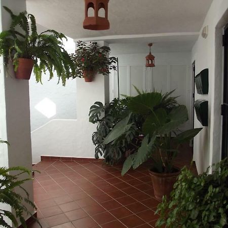 Apartamento En Conil Conil De La Frontera Eksteriør bilde