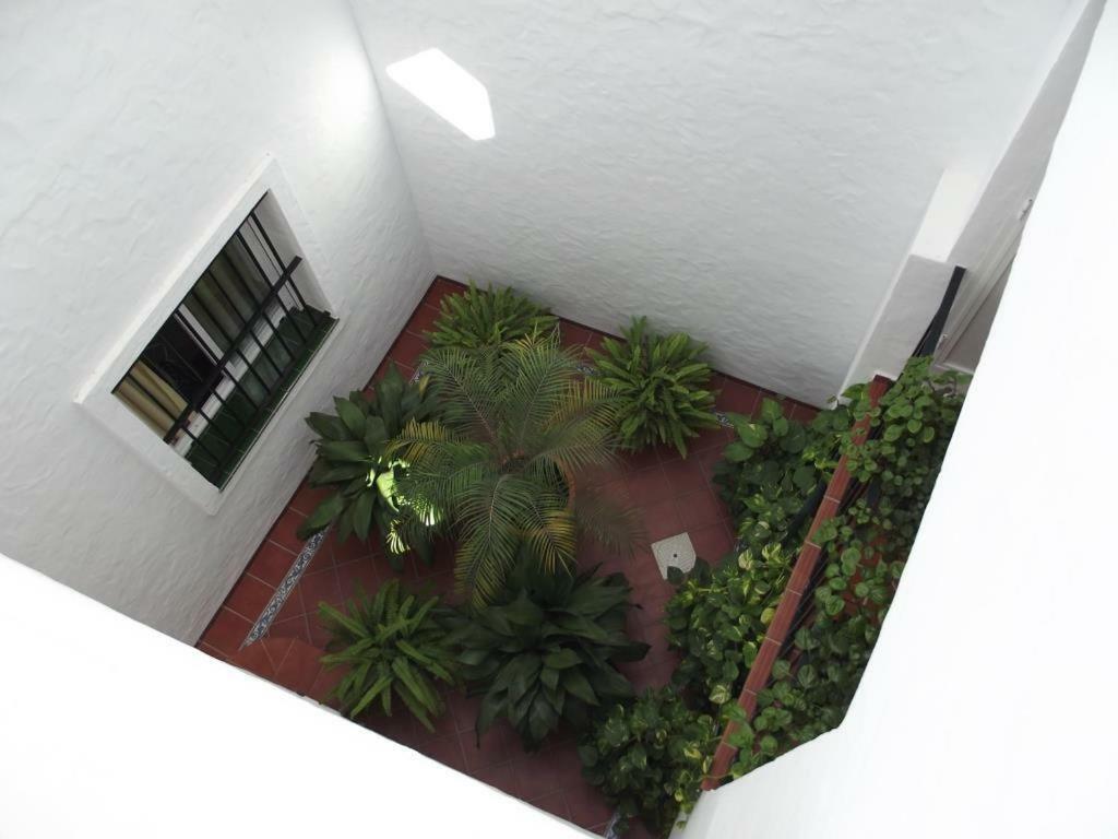 Apartamento En Conil Conil De La Frontera Eksteriør bilde